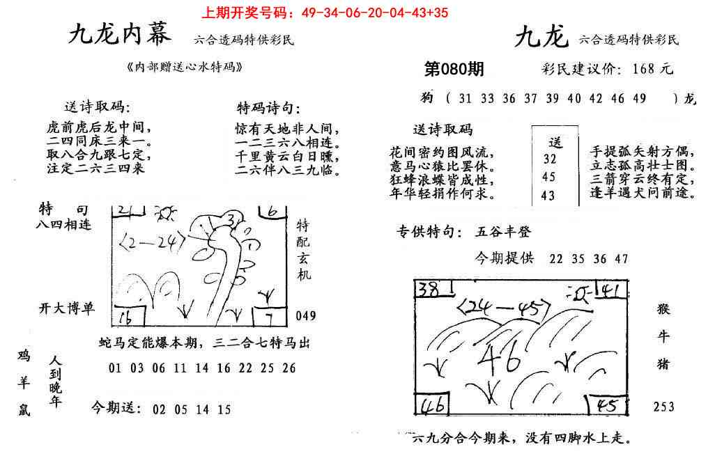 080期九龙内幕[图]